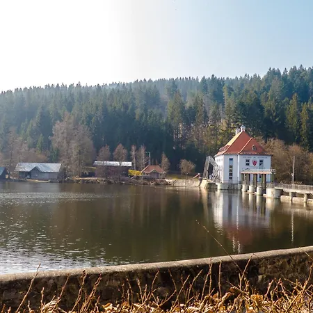 Nr 16b2, Hagbuegerl, Bayr Wald Vakantiehuis *