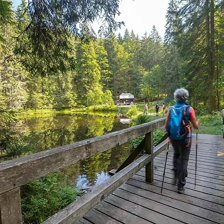 Vakantiehuis Nr 16b2, Hagbuegerl, Bayr Wald Waldmünchen