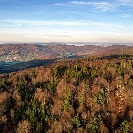 Nr 16b2, Hagbuegerl, Bayr Wald * Waldmünchen